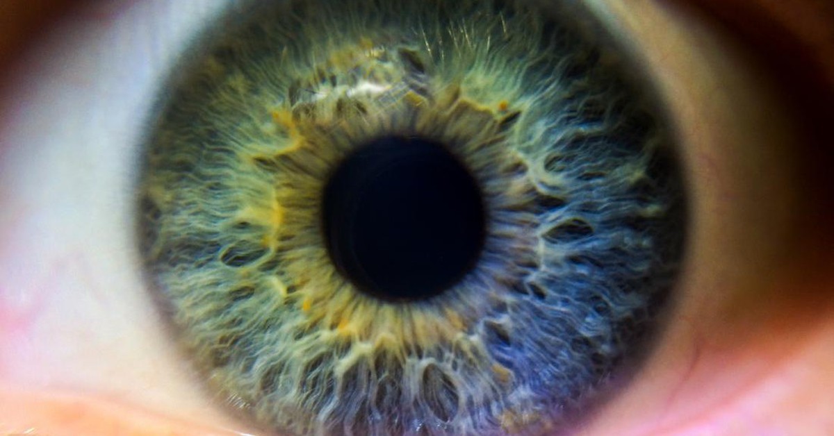 Phát hiện nhiều gene 'phụ' có thể làm thay đổi màu mắt