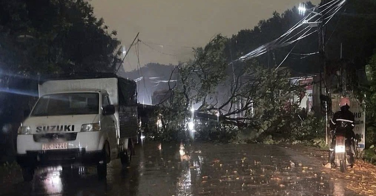 Bắc Bộ có nơi mưa to đêm nay, cảnh báo dông lốc, mưa đá