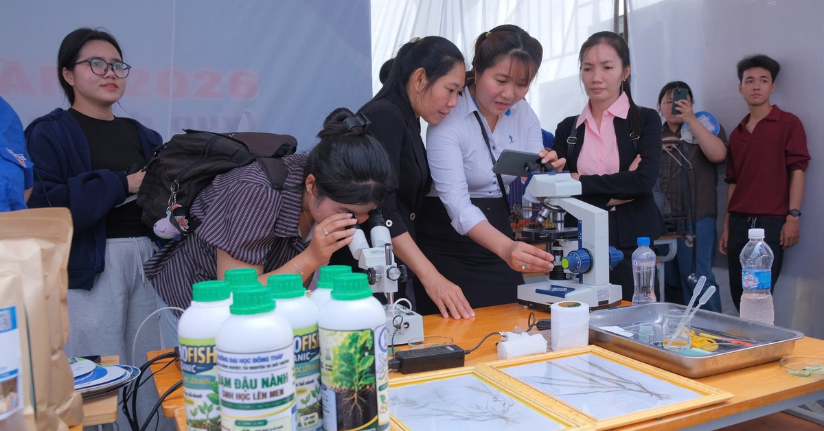 Học sinh miền Tây ứng dụng AI trong 'Sáng tạo vì cộng đồng'