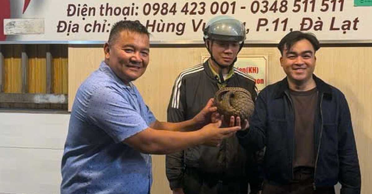 Tê tê bò vào tầng hầm quán nhậu ở Đà Lạt, chủ quán gọi báo kiểm lâm