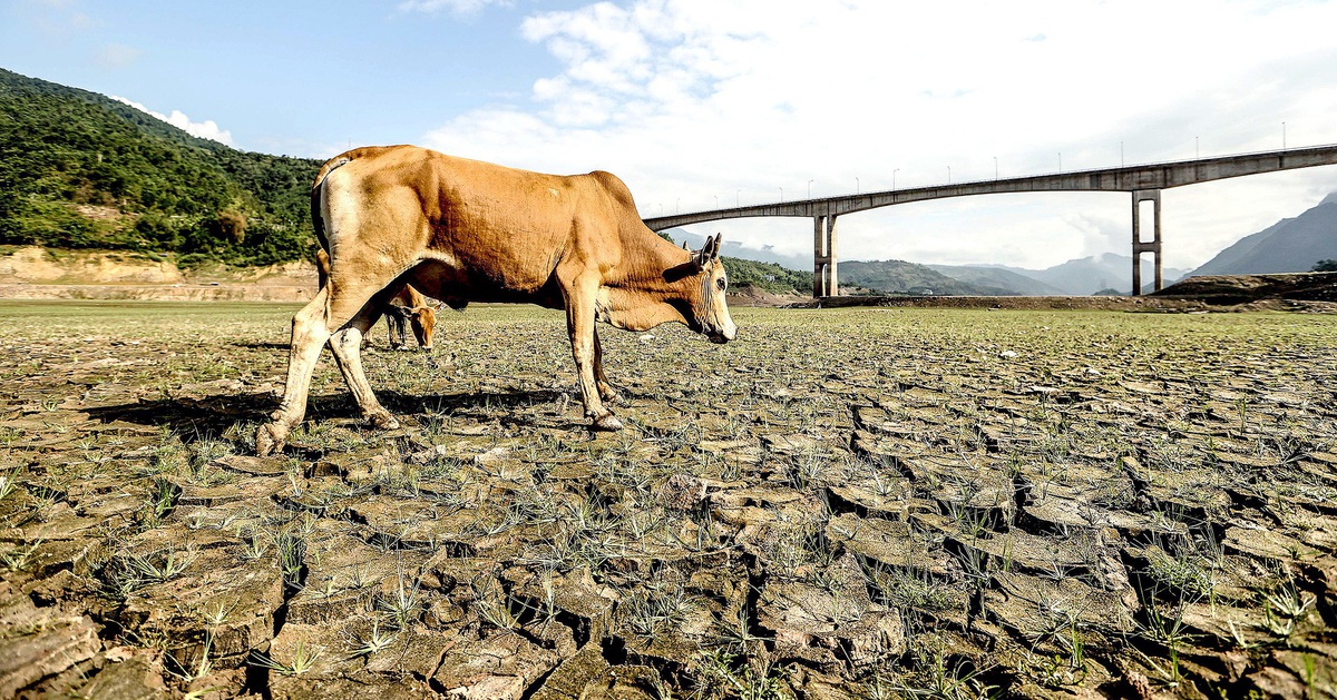 El Nino sắp xuất hiện, tác động đến mưa, nguồn nước ở Việt Nam thế nào?