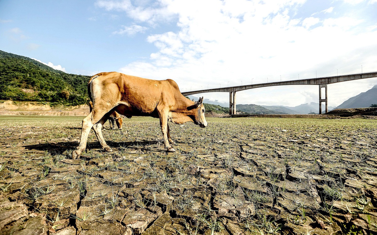 El Nino sắp xuất hiện, tác động đến mưa, nguồn nước ở Việt Nam thế nào?