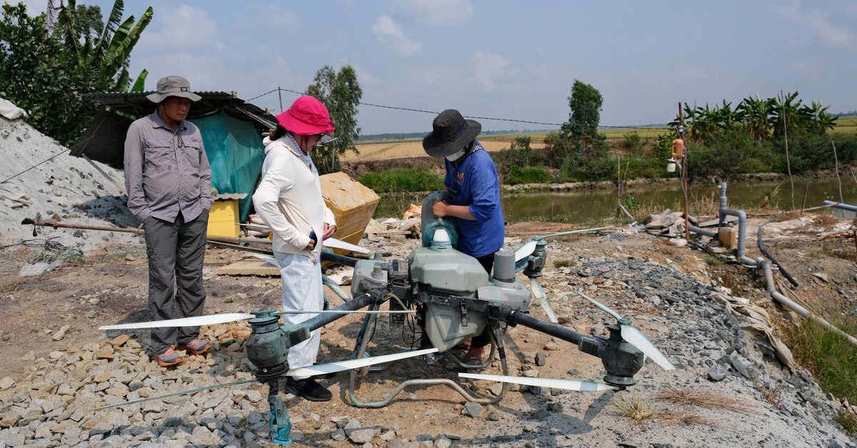 Phương pháp xử lý rơm rạ bằng chế phẩm sinh học có dễ thực hiện không?