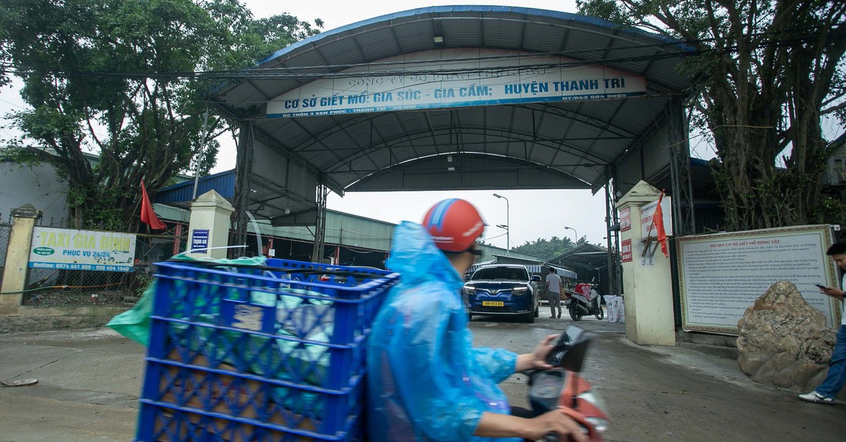 Cận cảnh lò mổ Vạn Phúc, nơi cho 'ra lò' 300 tấn thịt heo bệnh tuồn ra chợ, bếp ăn trường học