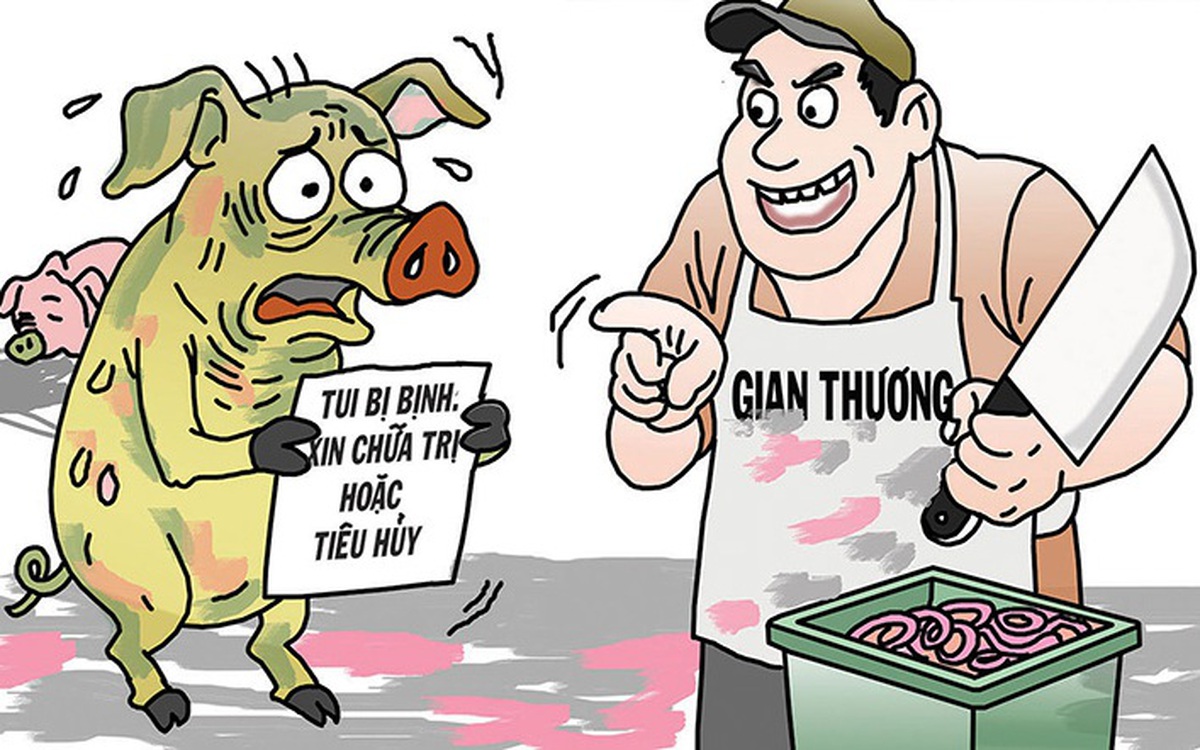 Thịt heo bệnh vào trường học: Nghiêm trị để ngăn tái diễn