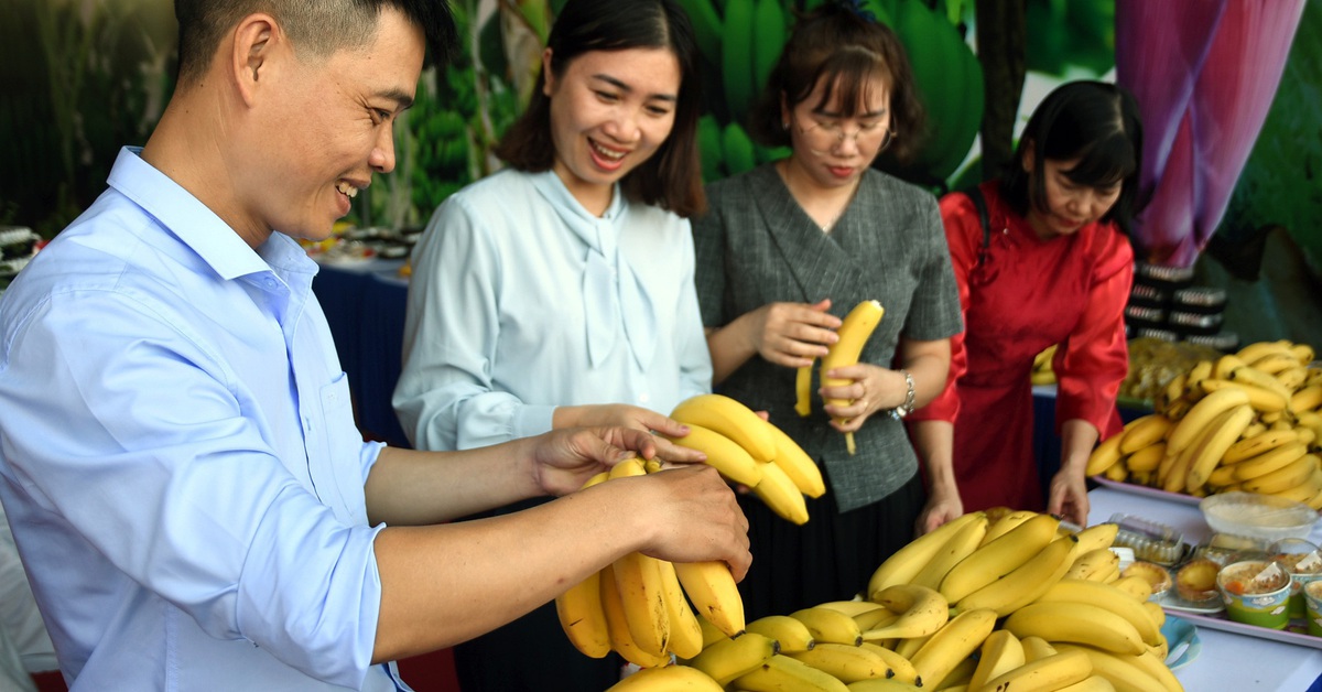 220 tấn chuối tươi Đồng Nai lên đường xuất khẩu ra nước ngoài