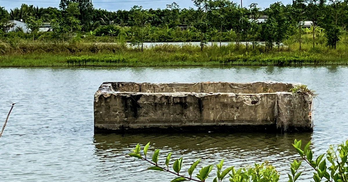 Ngân hàng đất ở Cà Mau hơn 26 tỉ đồng 'đóng băng' suốt 8 năm