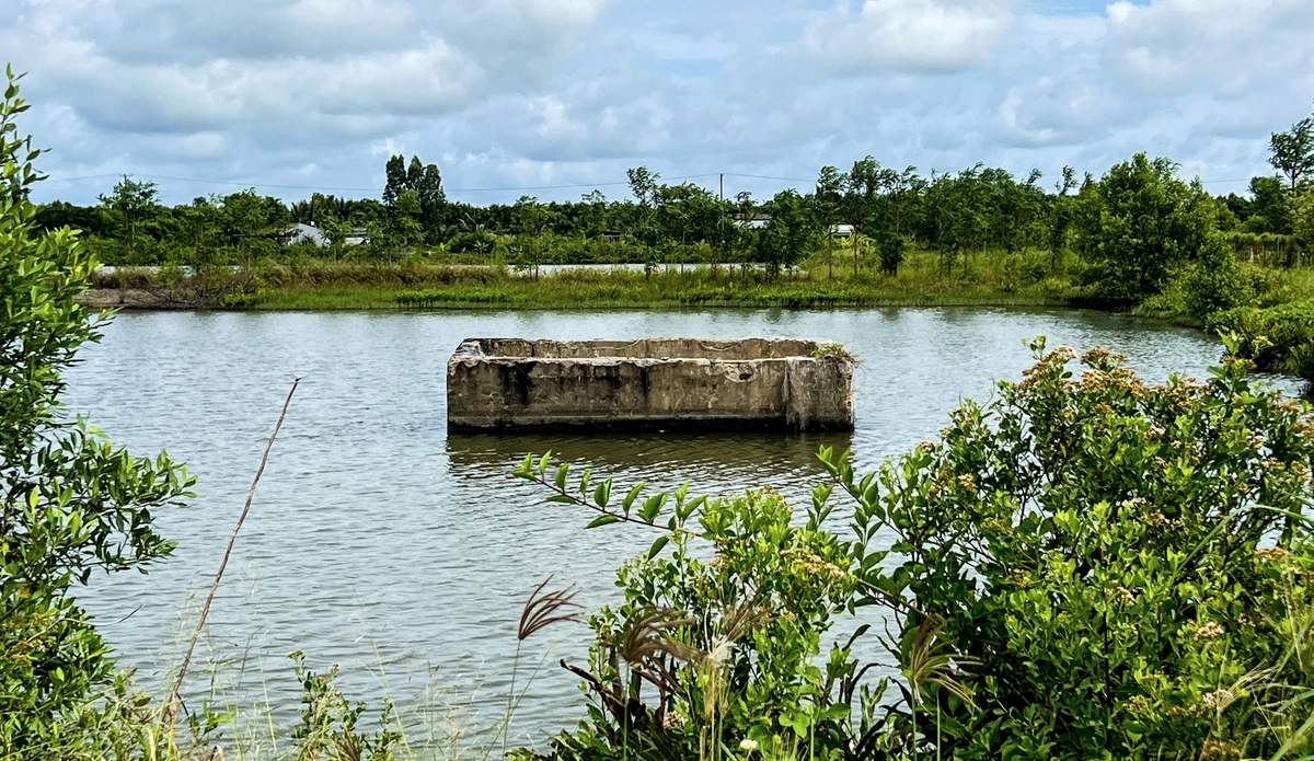 Ngân hàng đất ở Cà Mau hơn 26 tỉ đồng 'đóng băng' suốt 8 năm