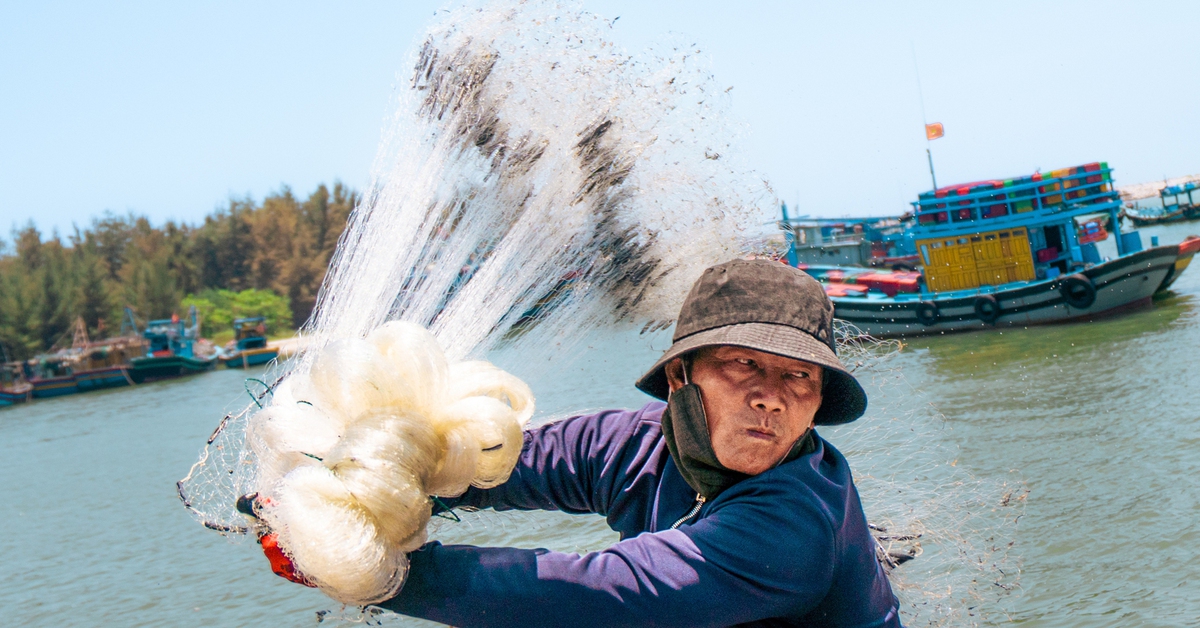 Công bố học sinh đoạt giải hội thi ảnh Tuổi Xanh 2026