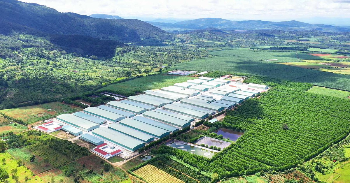 Nhiều doanh nghiệp tiềm năng tiên phong dẫn dắt nền kinh tế Gia Lai