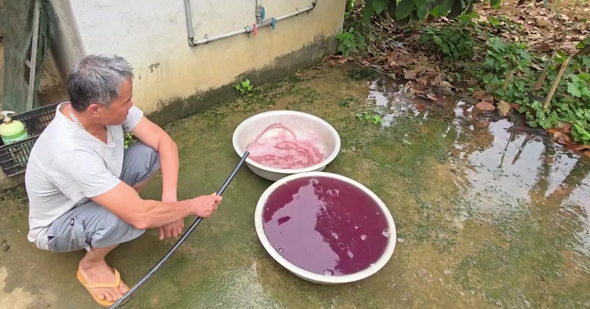 Vụ nước giếng đổi màu tím: Yêu cầu doanh nghiệp dừng giặt, khắc phục ô nhiễm