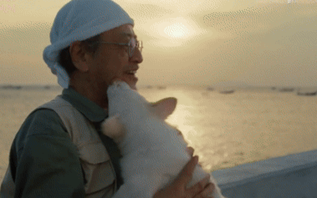 충성스러운 개 손오반의 10년 여정이 베트남 극장을 강타한다