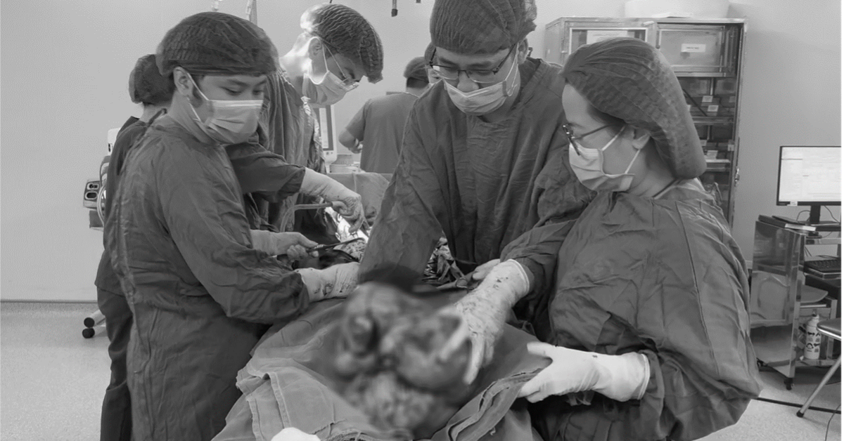 Phẫu thuật cắt khối u sarcoma nặng 9kg hiếm gặp