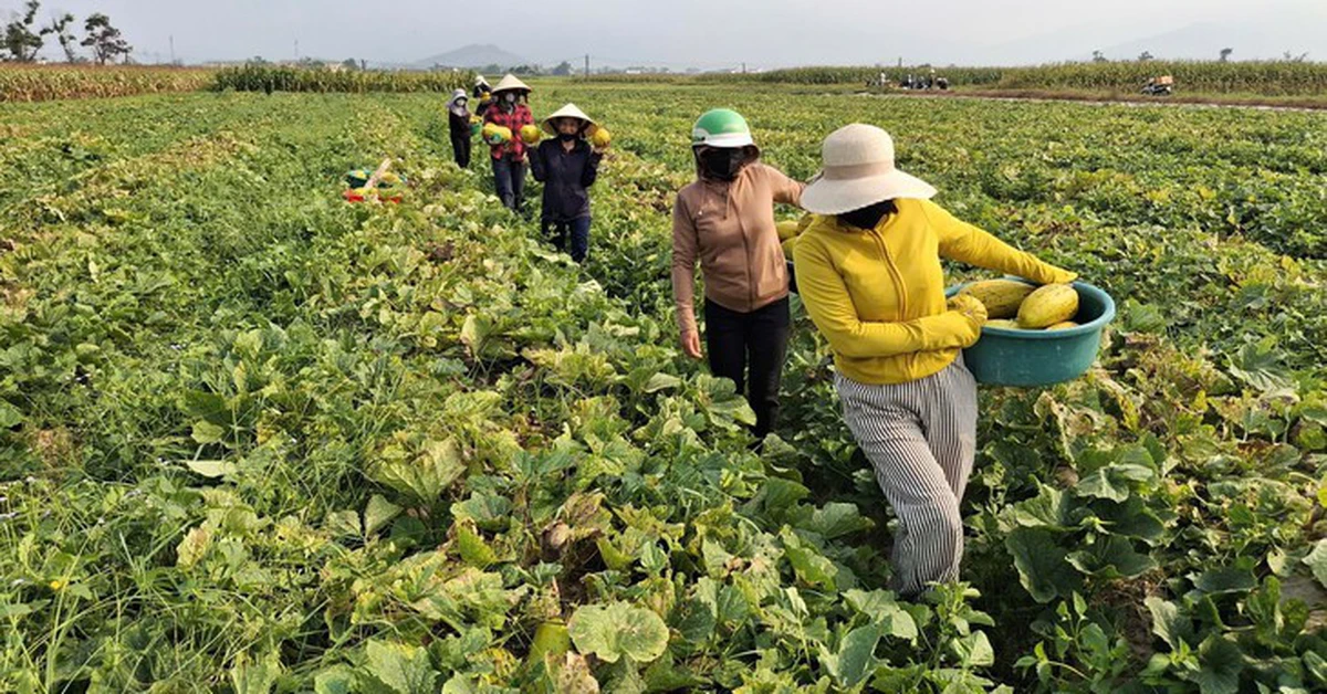 Nhà không cần khóa cửa, hàng xóm mang qua mang lại tô canh nóng, thời đó đã thành xa xưa?