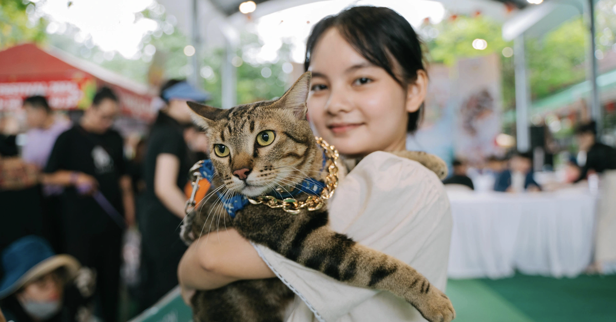 Người trẻ chi đậm để nuôi chó, mèo như 'em bé', 'con cưng', nhiều cảnh báo đi kèm