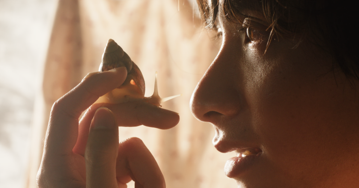 Giấc mơ là ốc sên của Nguyễn Thiên Ân tranh giải Phim ngắn tại Cannes