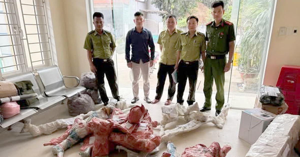 Thu giữ hơn 80kg phôi cây muội hồng chuẩn bị bán ra thị trường