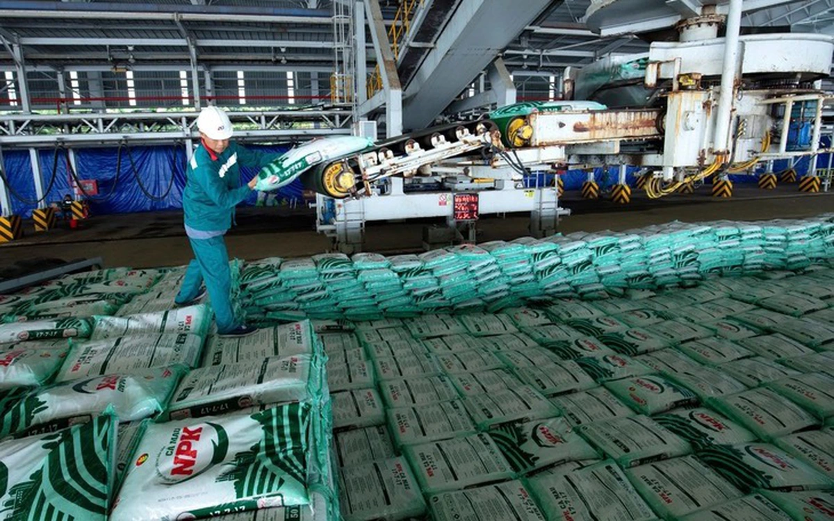 Phân bón Cà Mau hướng tới doanh thu 30.000 tỉ đồng, mở rộng xuất khẩu sang thị trường mới