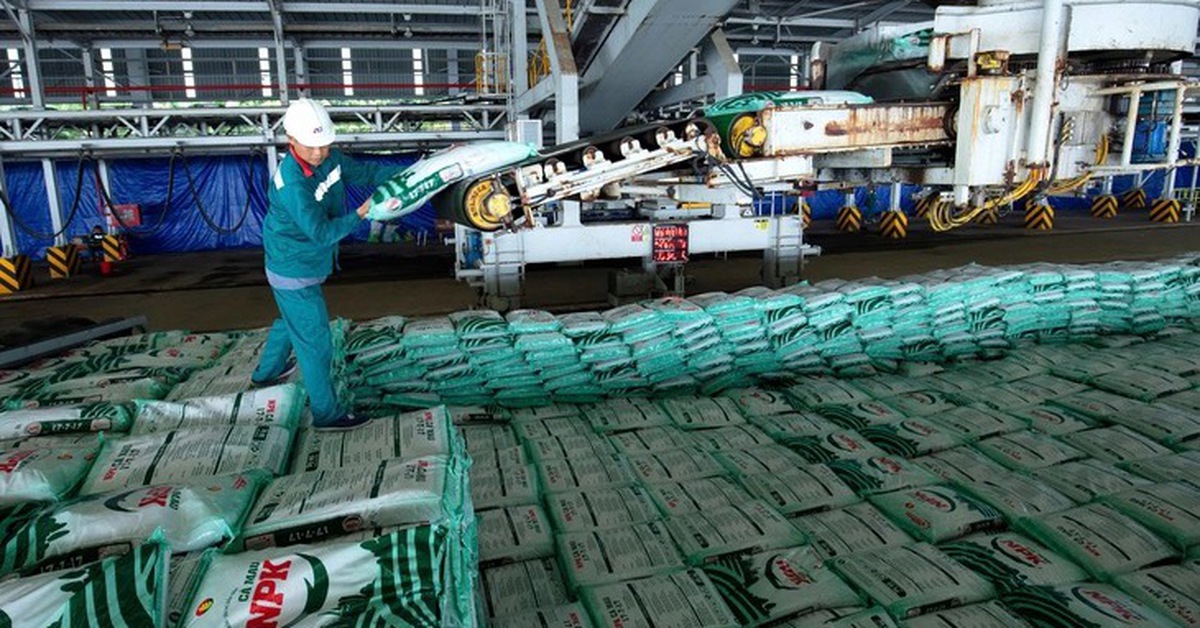 Phân bón Cà Mau hướng tới doanh thu 30.000 tỉ đồng, mở rộng xuất khẩu sang thị trường mới