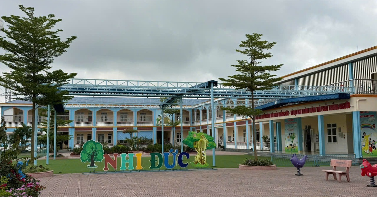 Không qua đấu thầu, doanh nghiệp vẫn được cấp thực phẩm vào trường học