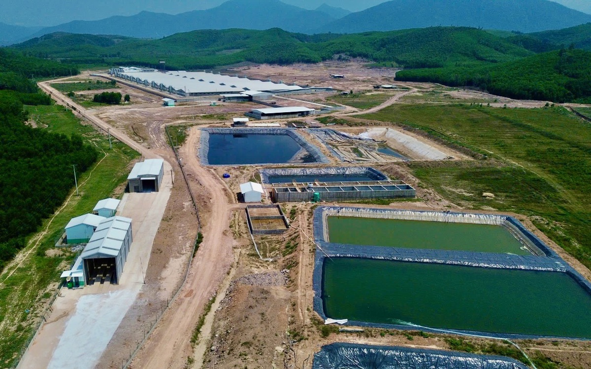 Mùi hôi từ trại heo 'tra tấn' người dân: Yêu cầu khắc phục trước ngày 2-5