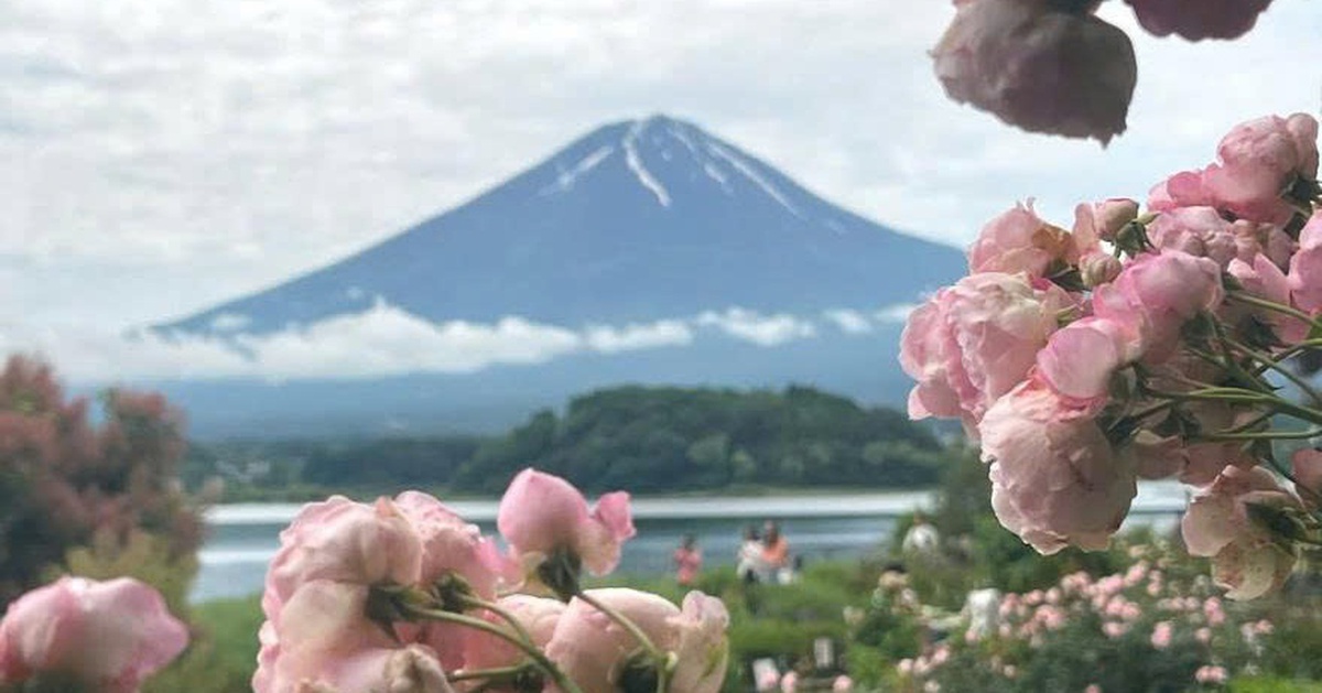 Suýt rớt visa Nhật vì sai sót hồ sơ