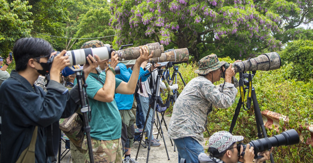 Chi hàng trăm triệu đổi lấy khoảnh khắc chụp được loài voọc quý trên bán đảo Sơn Trà