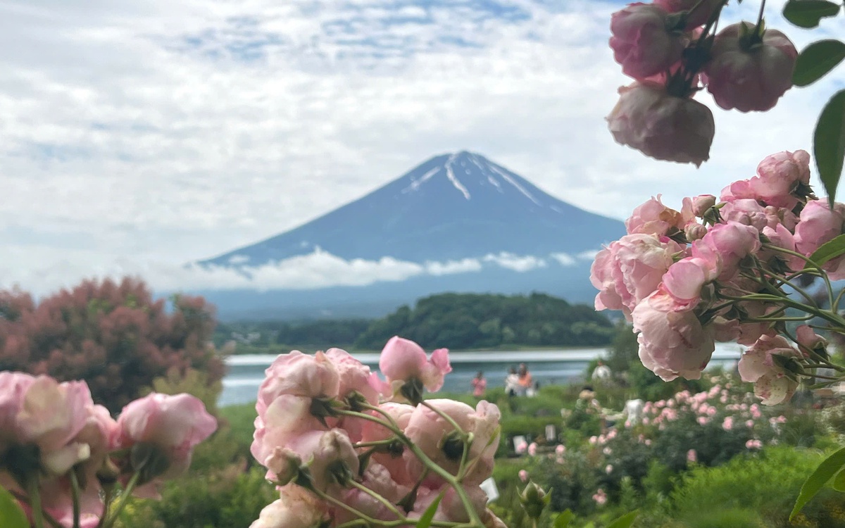 Suýt rớt visa Nhật vì sai sót hồ sơ