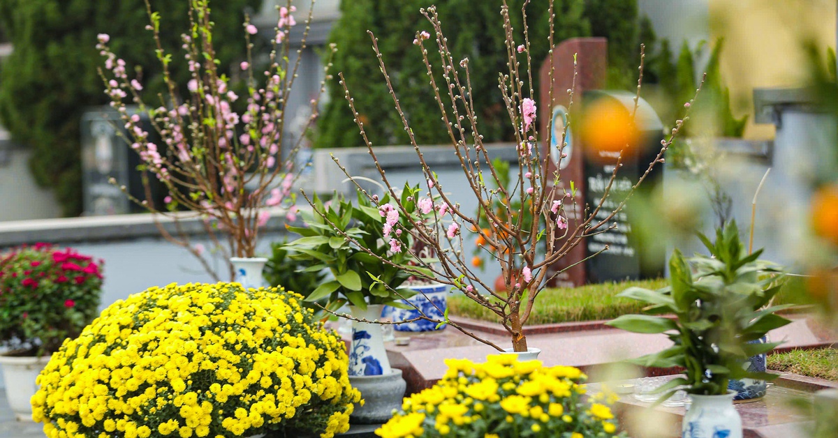 Thời đại di cư mạnh mẽ, nên thay quê quán bằng nơi sinh?