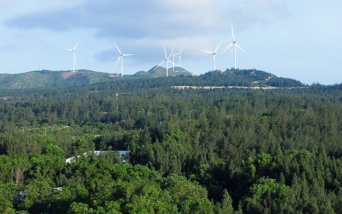 Gia Lai chuyển hơn 52ha rừng làm đường kết nối cao tốc