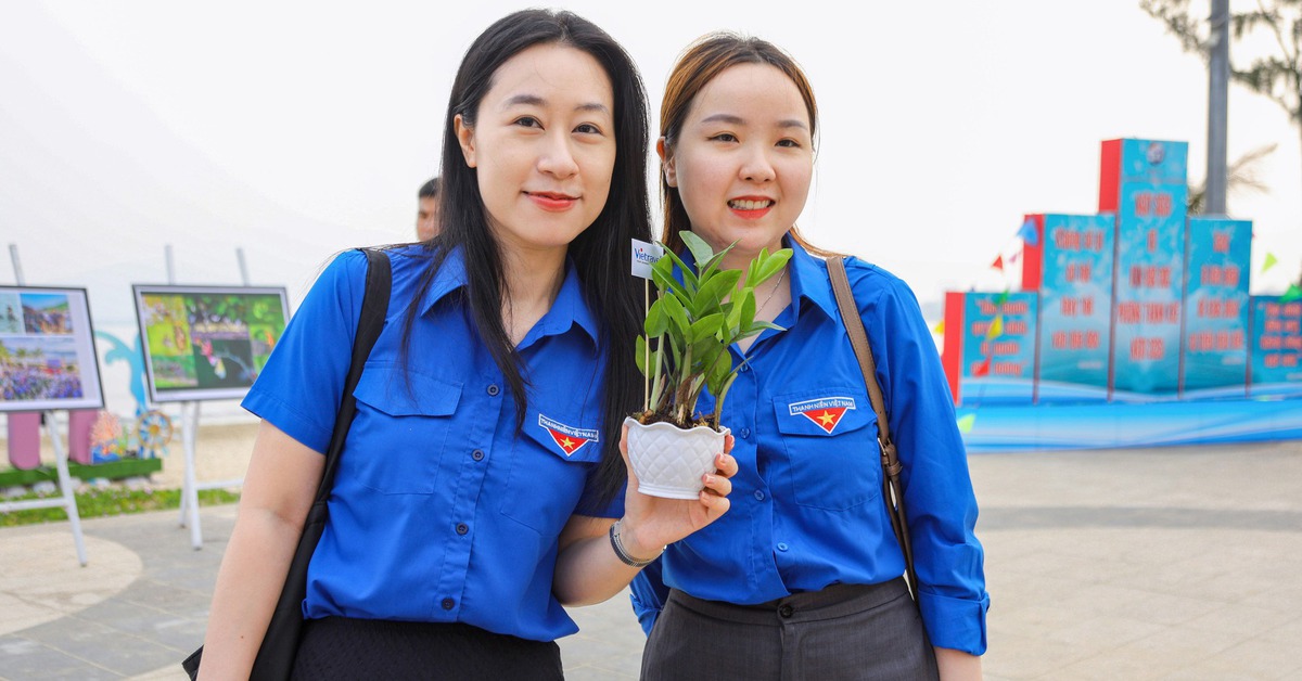 Hơn 600 người chung tay làm sạch bãi biển Đà Nẵng, đổi rác lấy cây xanh