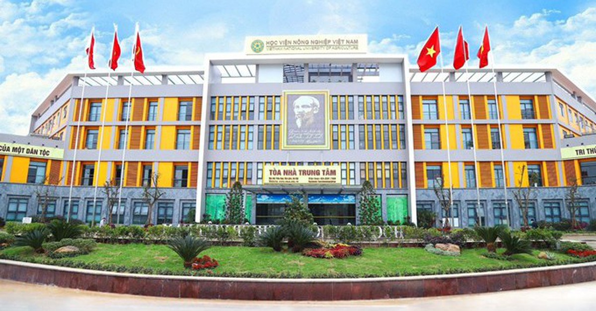 Trường sẽ trừ điểm rèn luyện sinh viên không tham gia câu lạc bộ đủ 2 năm?