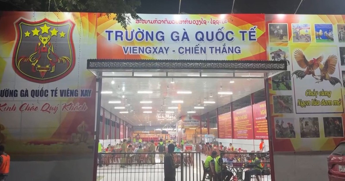 ‘Trường gà quốc tế’ do vợ chồng người Việt điều hành giao dịch trên 1.200 tỉ, khởi tố 196 người