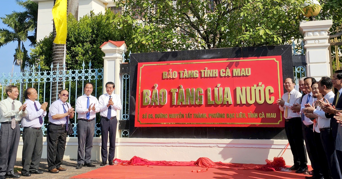 Ngắm công cụ trồng lúa xa xưa tại Bảo tàng Lúa nước vừa thành lập tại Cà Mau