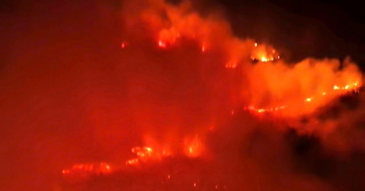 Cháy khoảng 4,6ha rừng tràm sản xuất ở Cô Tô