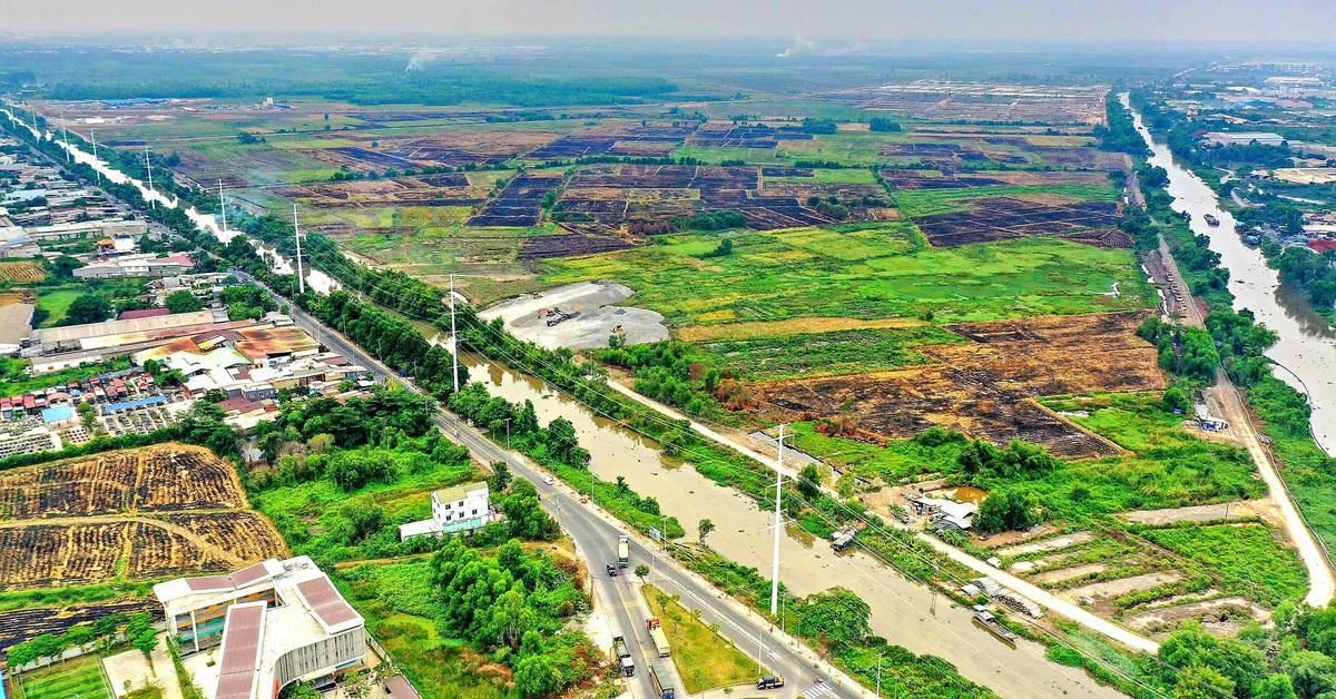 Nền móng cho mai sau