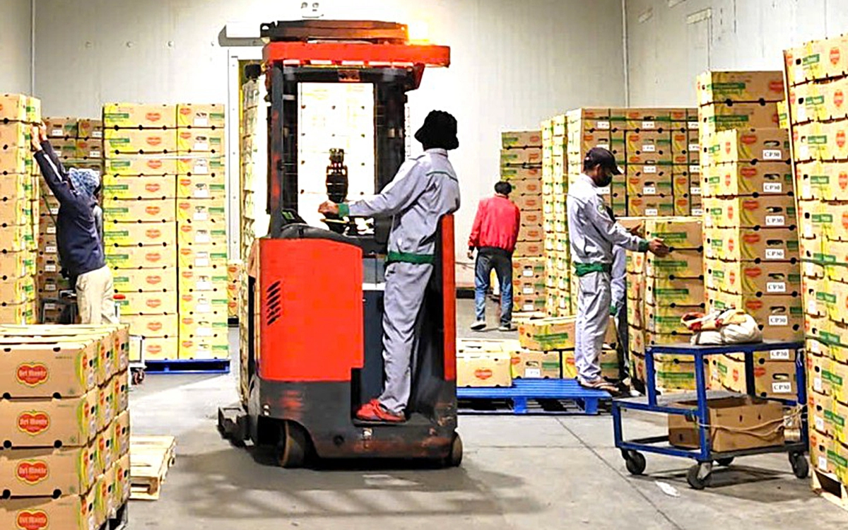 Kho lạnh giúp bảo vệ nông dân