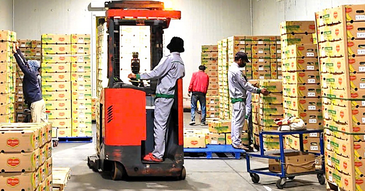 Kho lạnh giúp bảo vệ nông dân