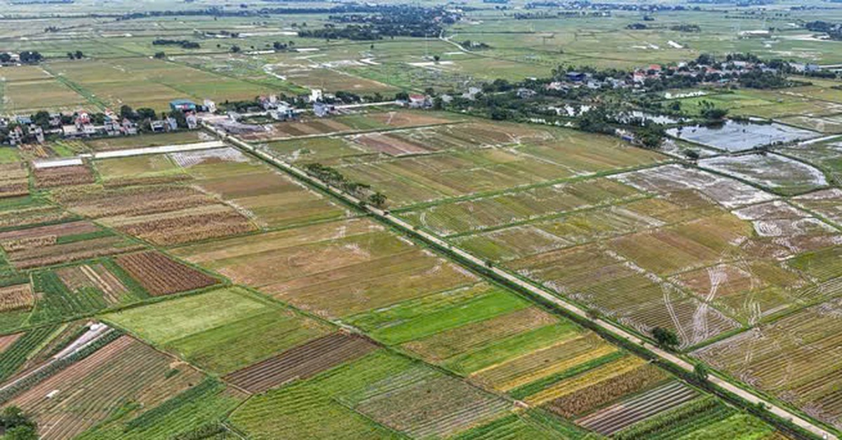 Đất nông nghiệp có nhà ở được bồi thường theo giá nào?