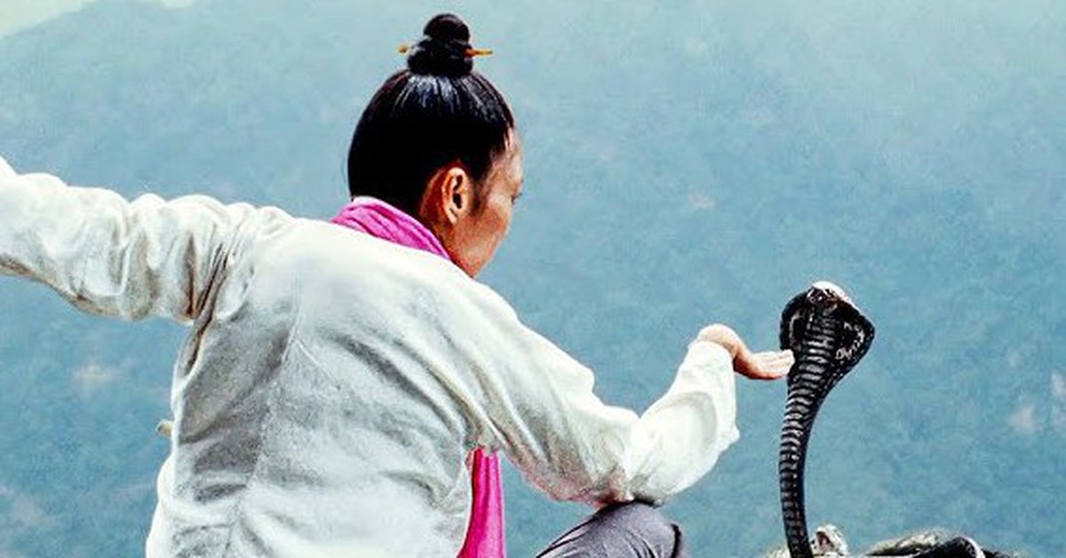 Những loài động vật nào phổ biến nhất trong kung fu Trung Hoa?