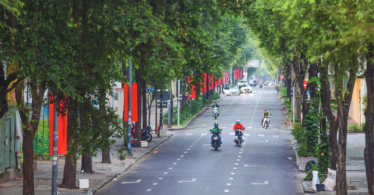 Lý Tự Trọng - con đường có lá me bay