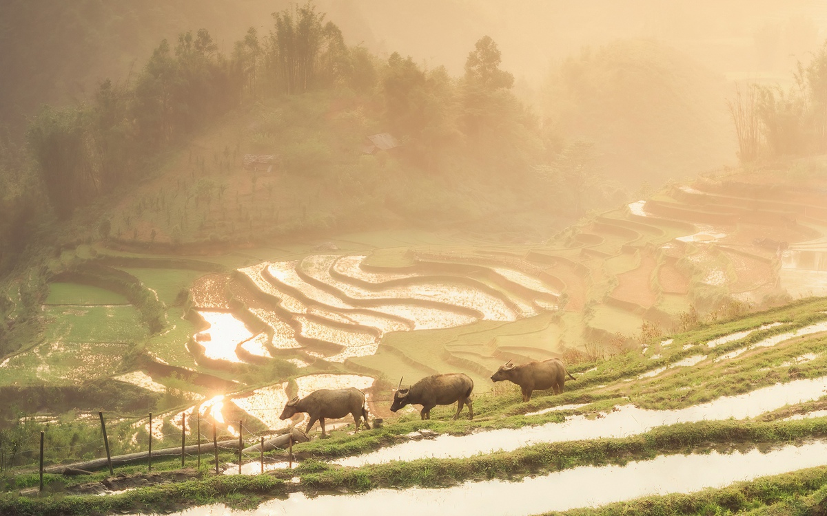 Việt Nam có đủ mọi thứ: từ sự bình yên, đa dạng trải nghiệm và hợp túi tiền