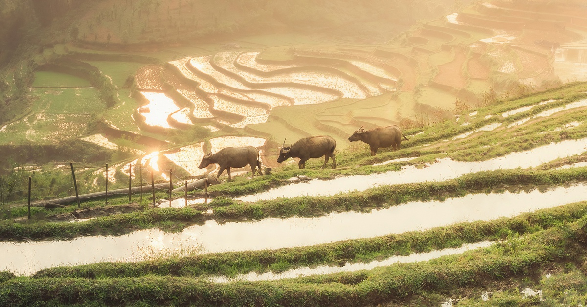 Việt Nam có đủ mọi thứ: từ sự bình yên, đa dạng trải nghiệm và hợp túi tiền