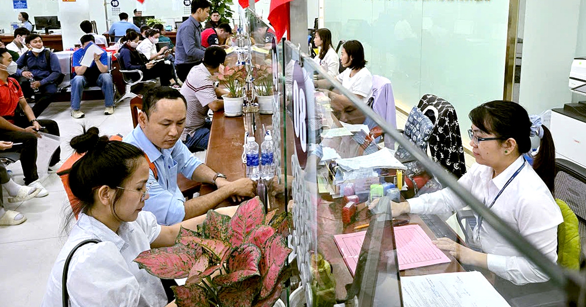 TP.HCM triển khai cao điểm 60 ngày bổ sung dữ liệu đất đai gần 2,5 triệu thửa