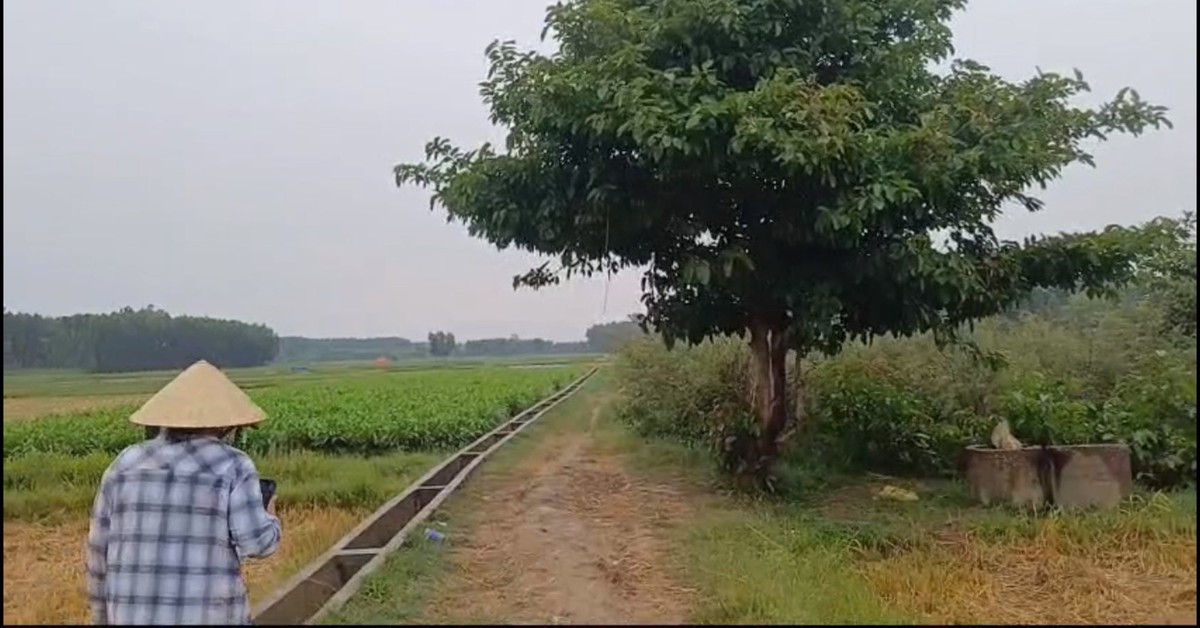 Mưa dông, một nông dân đi làm ruộng bị sét đánh tử vong