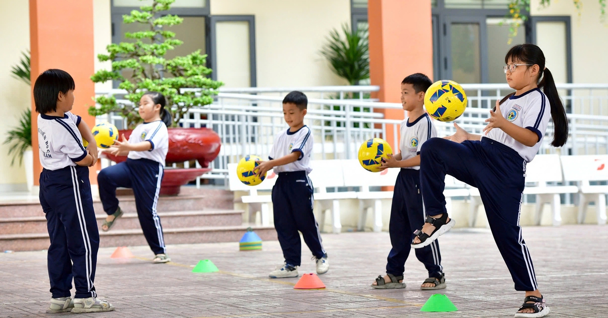 TP.HCM tăng tốc hội nhập giáo dục: Thần tốc xây thêm trường lớp