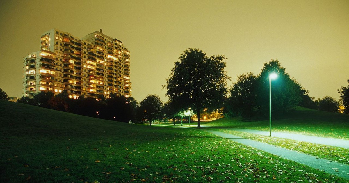 Mối liên quan giữa ánh sáng ban đêm với rối loạn miễn dịch