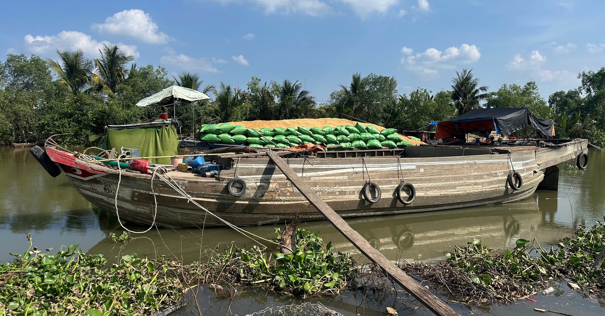 Tàu gỗ va chạm vỏ lãi trên sông Trà Tân, 1 người chết
