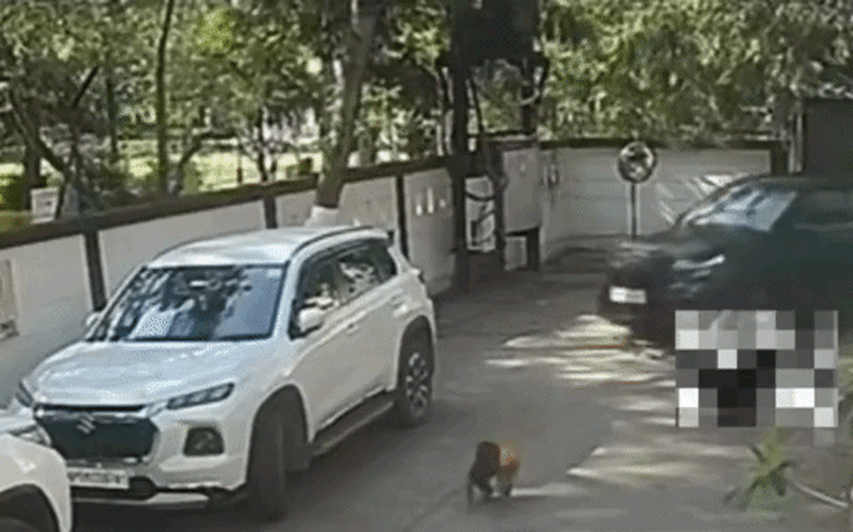 Bé trai sống sót kỳ diệu, đứng dậy ngay sau khi bị ô tô cán qua người