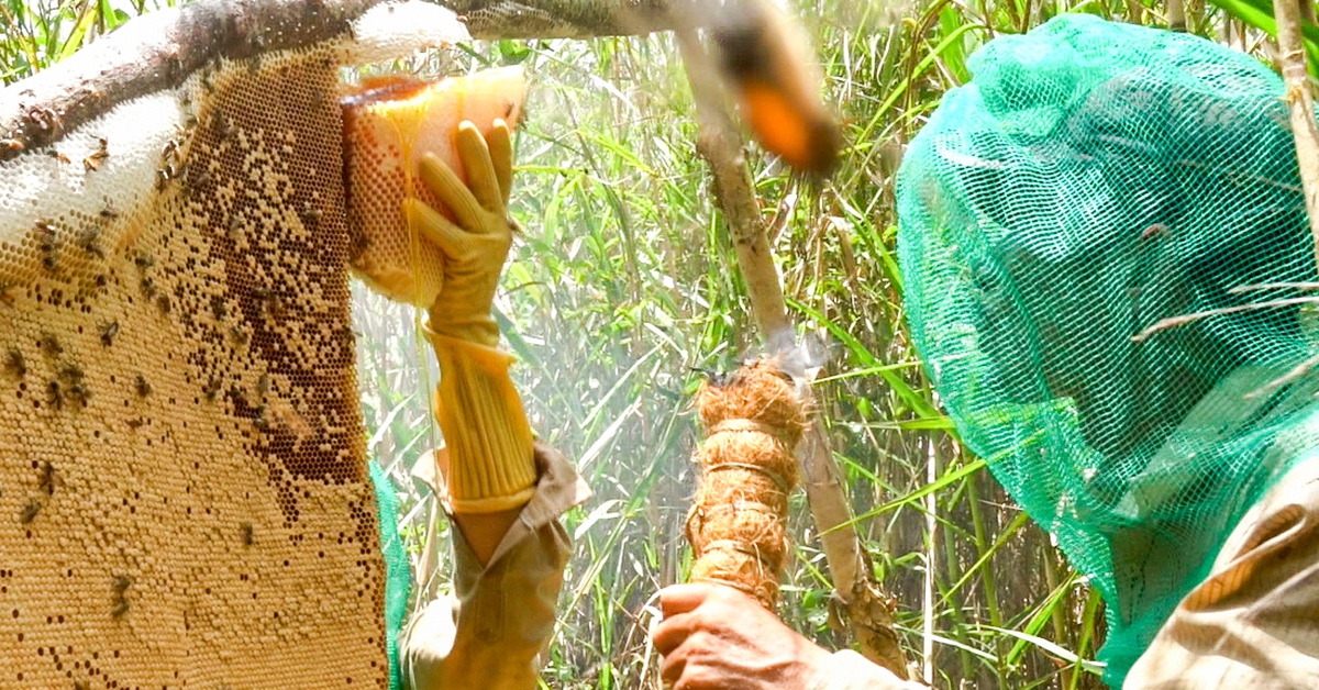 Cà Mau phê duyệt phát triển du lịch sinh thái U Minh Hạ hơn 1.300ha